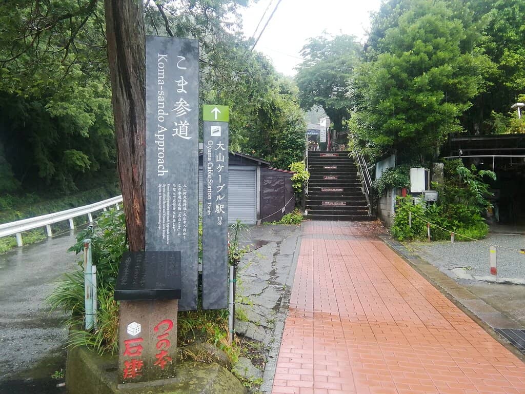 Vertical photo