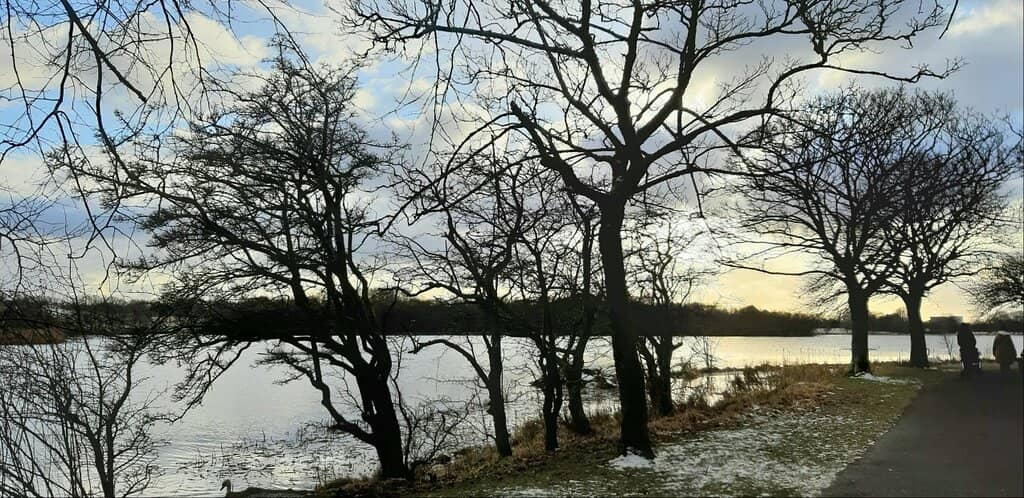 Scenic Walking Routes