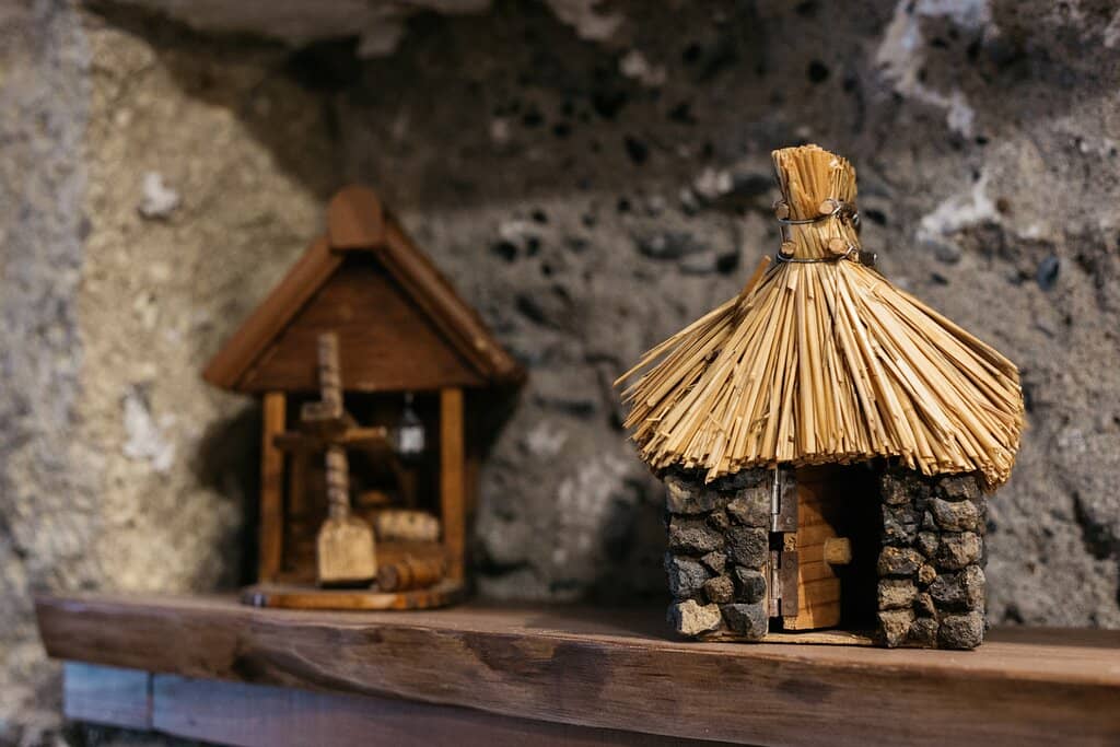 Friendly & Knowledgeable Staff