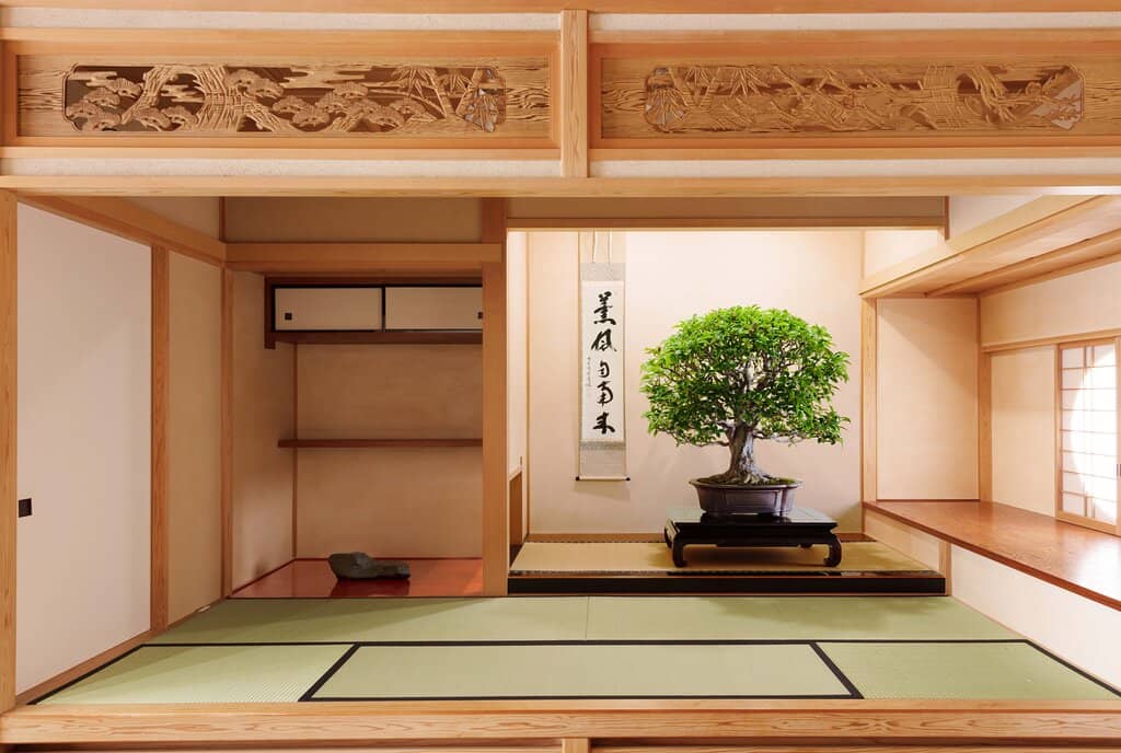 Bonsai History & Techniques