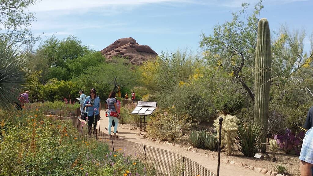 Botanical Gardens & Trails