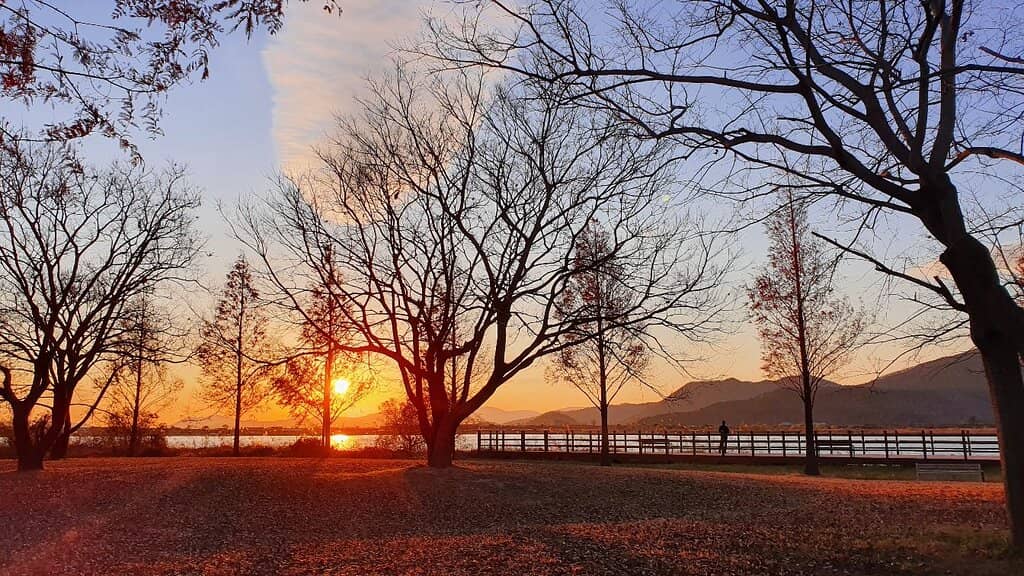 Nakdong River Views