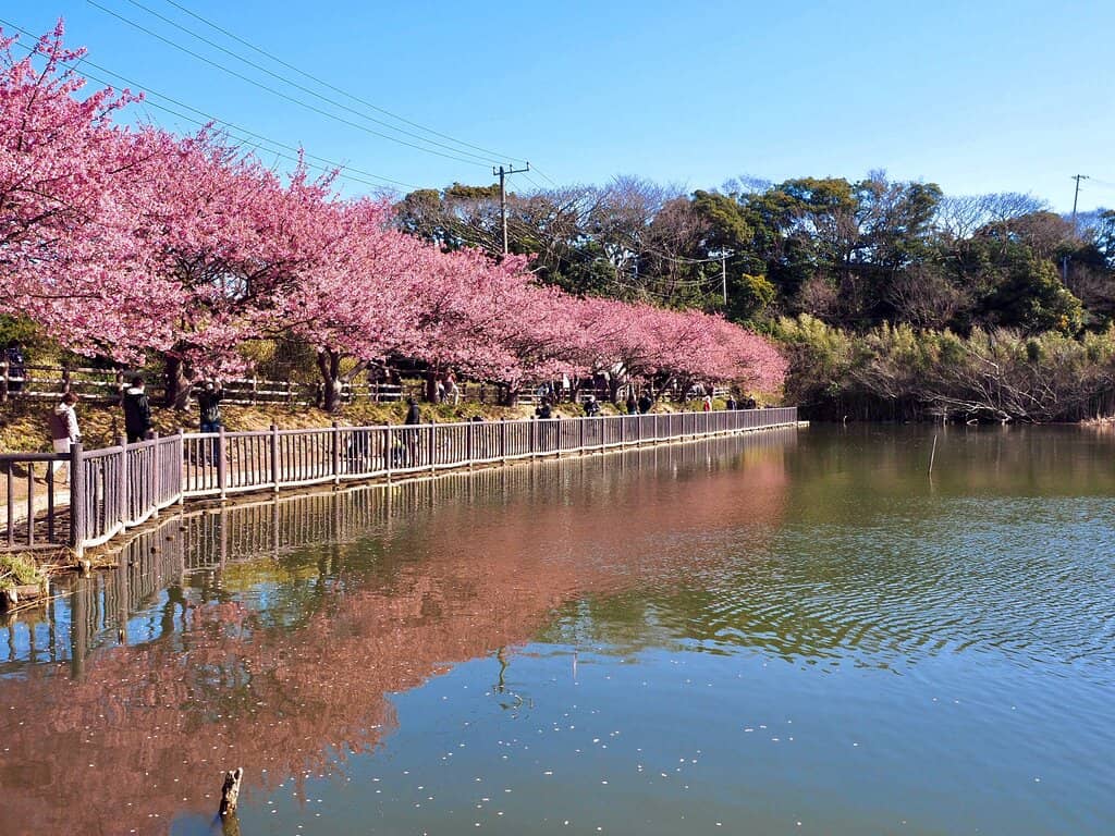Komatsugaike Pond