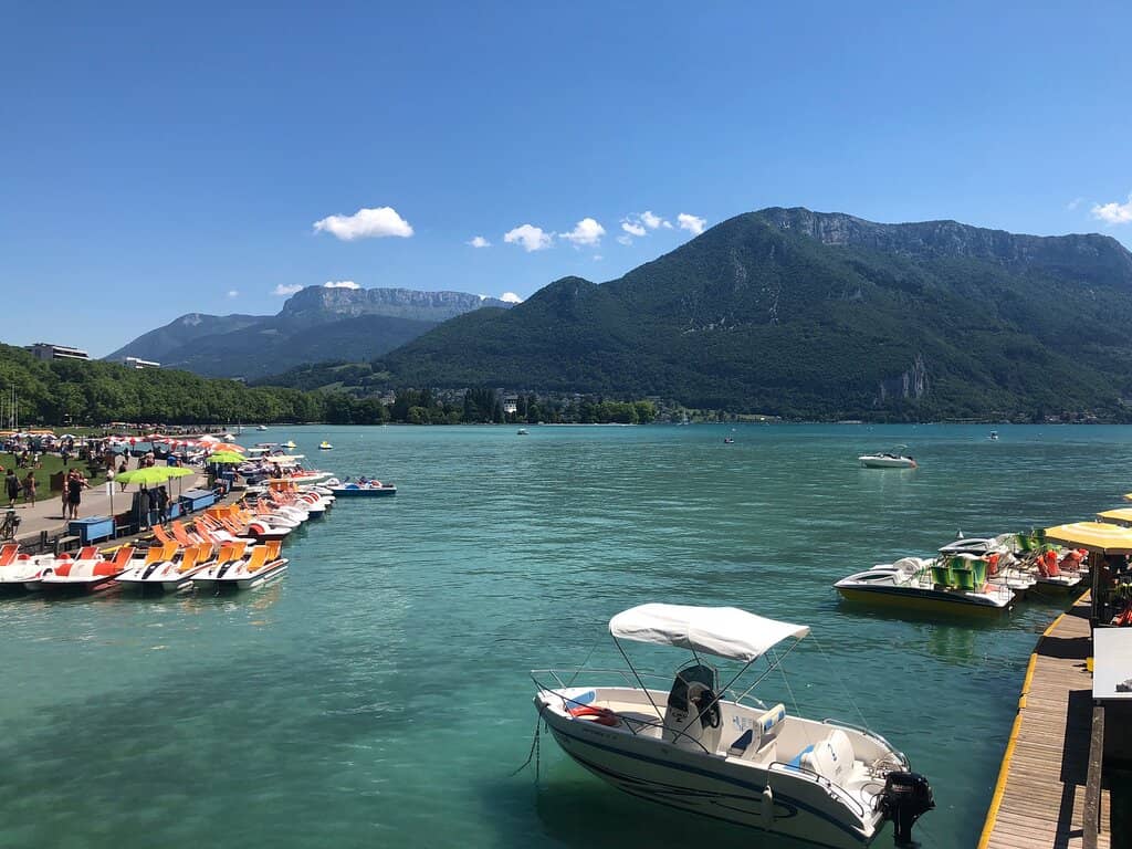 Shaded Grassy Areas
