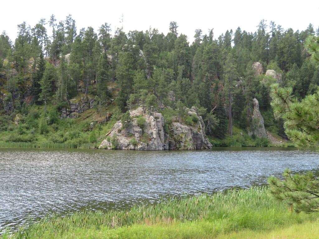 Wildlife Loop Road