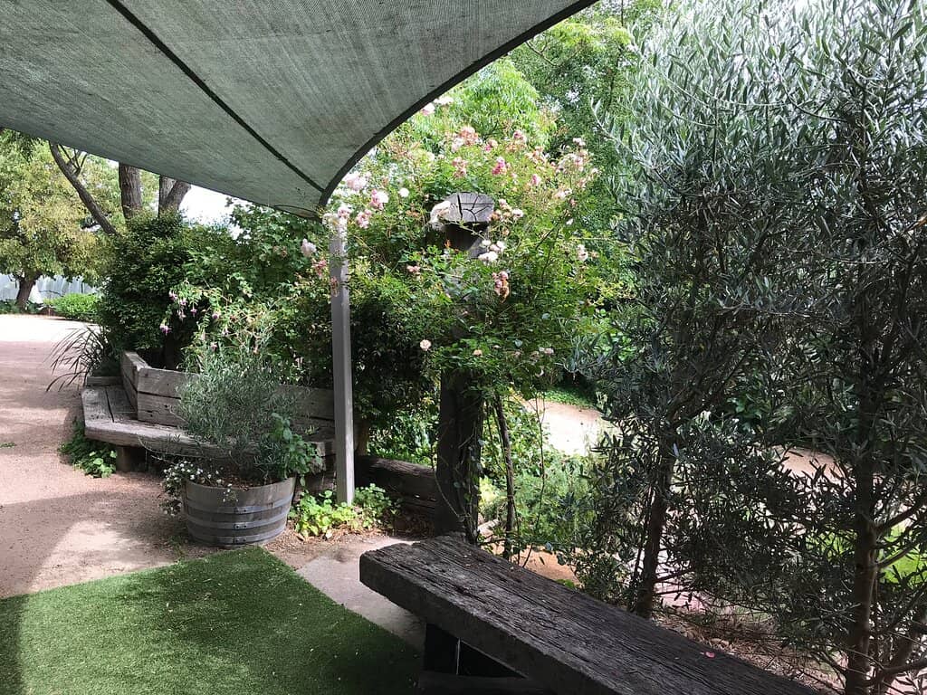 Dog-Friendly Vineyard