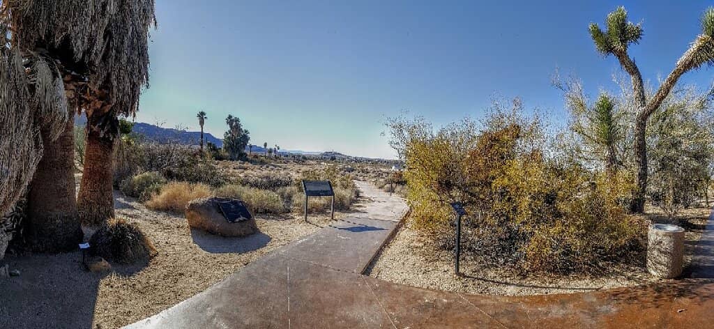 Joshua Tree National Park Art Exposition