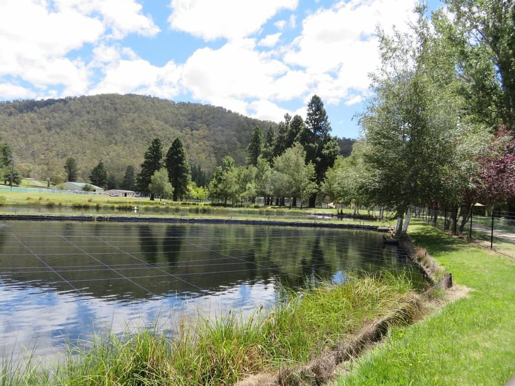 Picnic & BBQ Spots