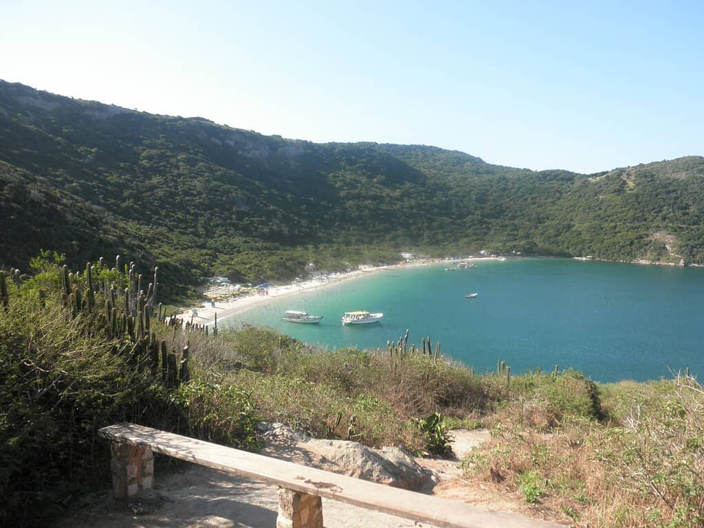 The Scenic Trail