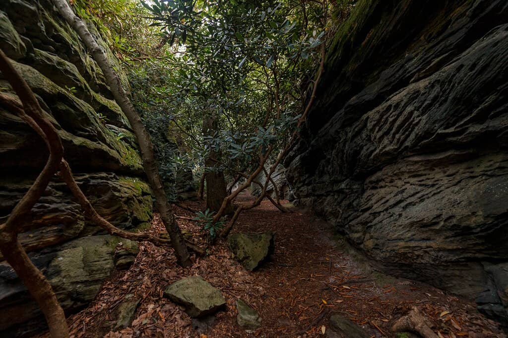 Raven's Rock Trail