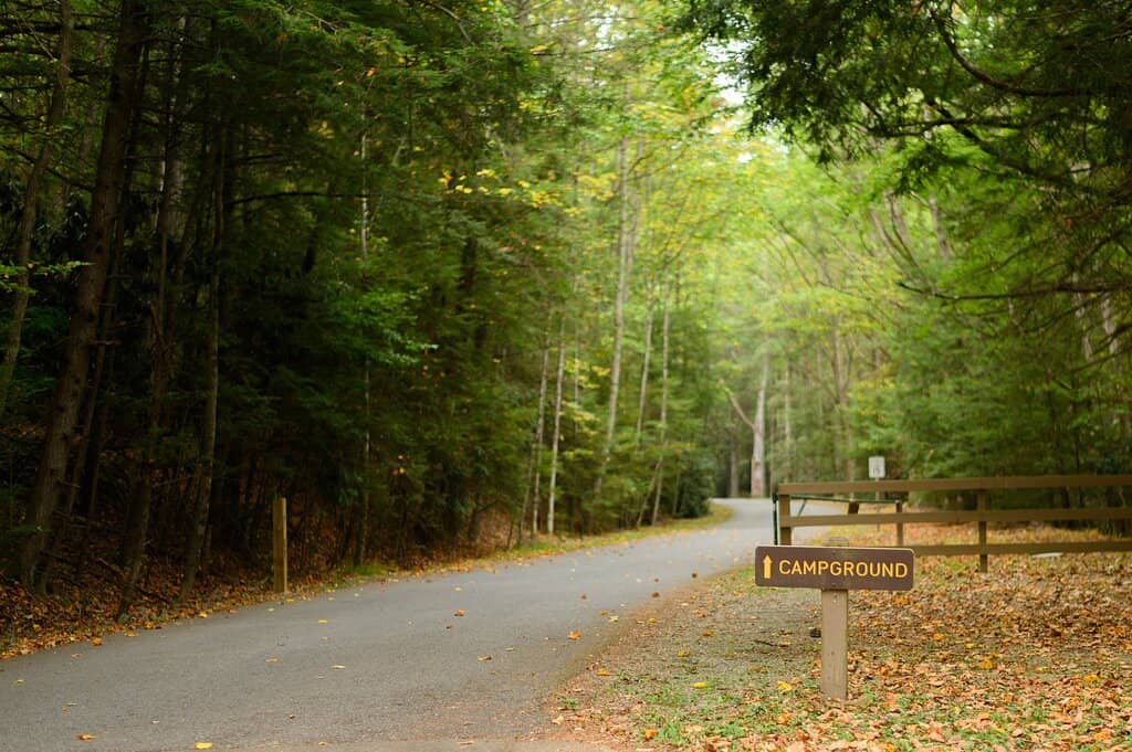 Secluded Non-Powered Campsites