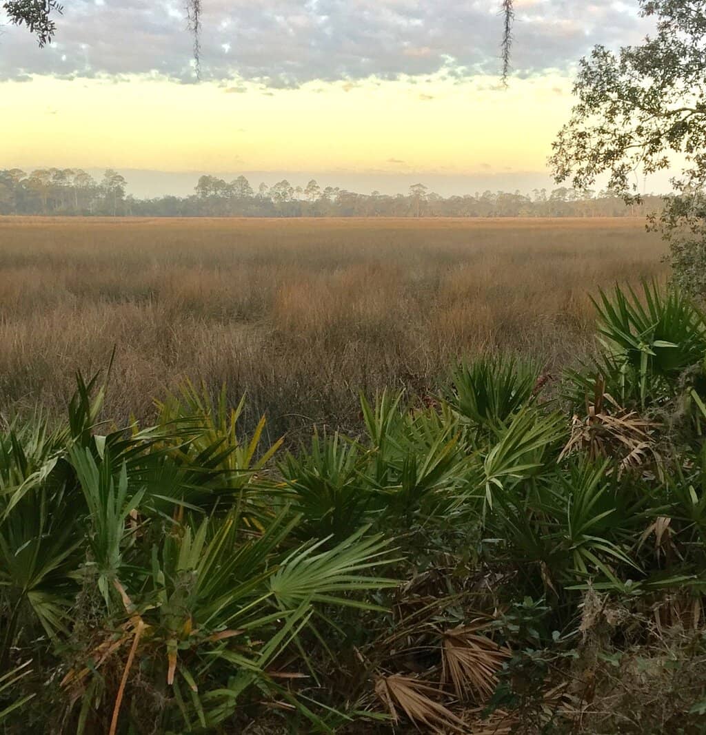 Nature Trails