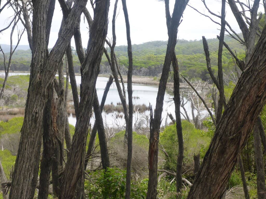 Wallagoot Beach Seclusion