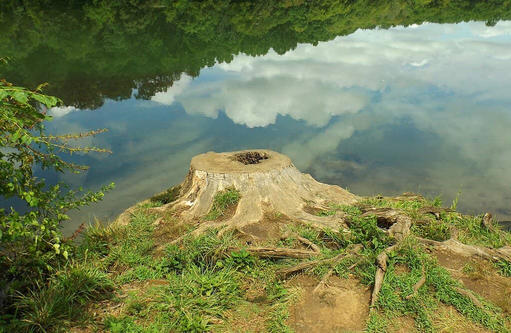 Vertical photo