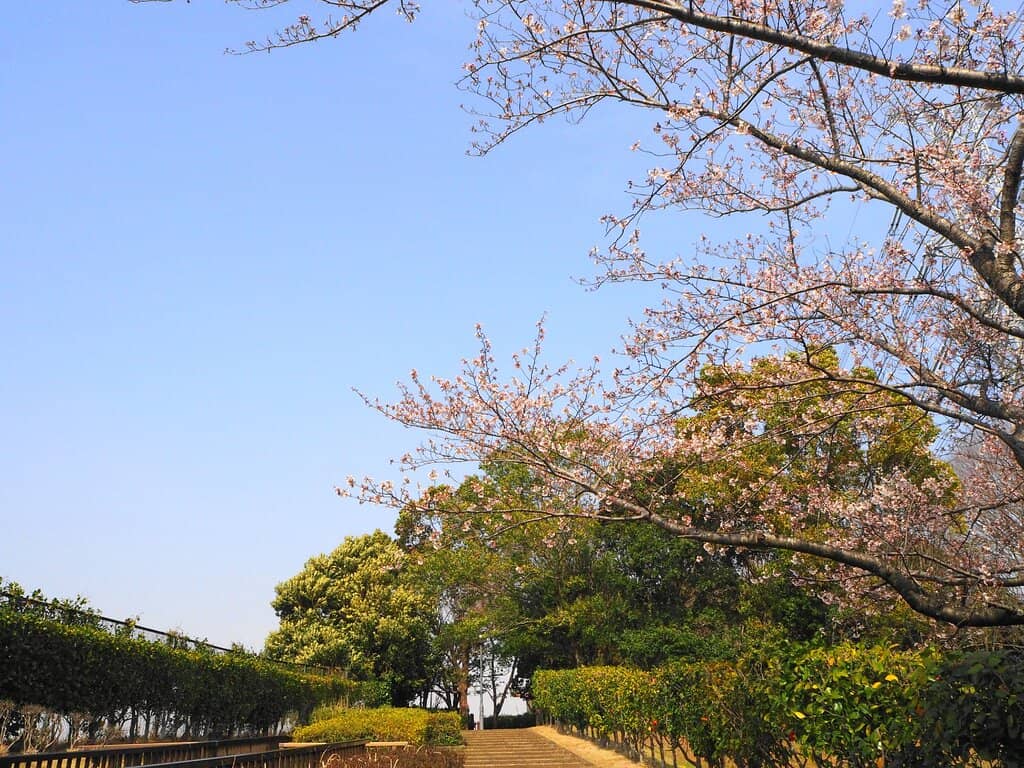 Vertical photo