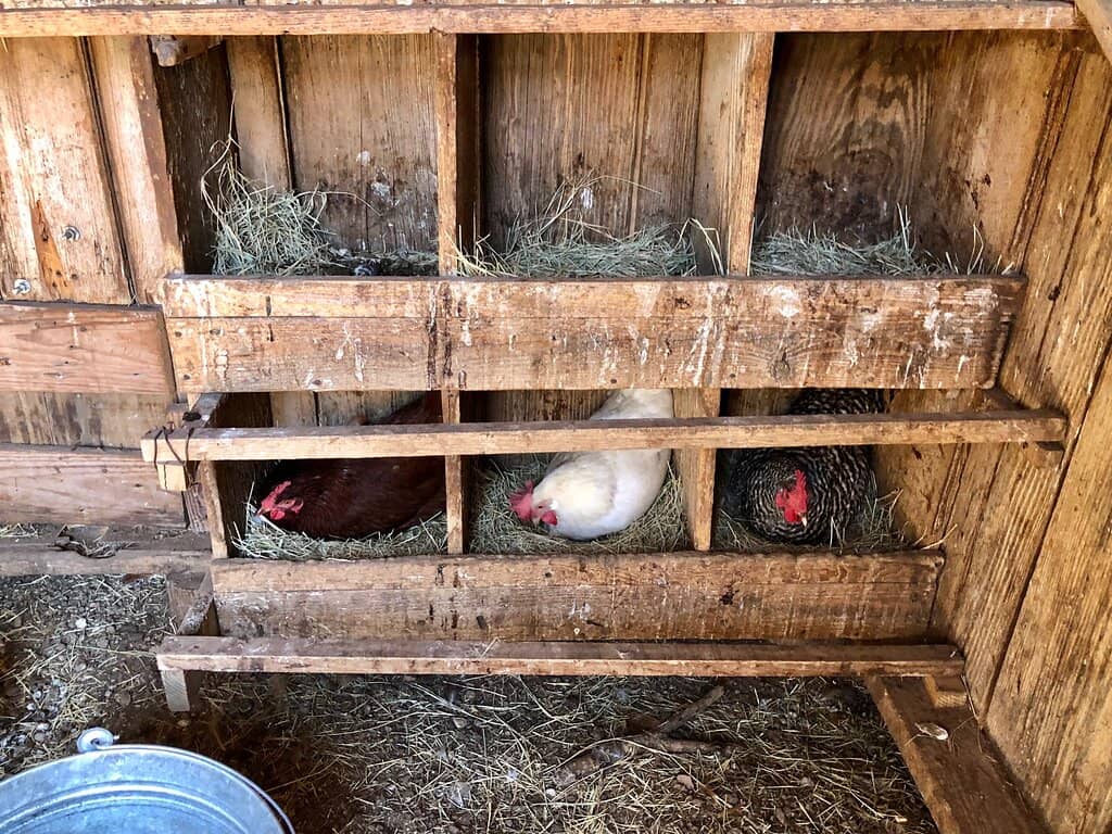 Hands-On Demonstrations