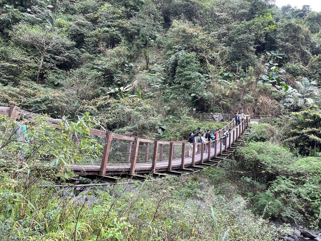 Suspension Bridge Views