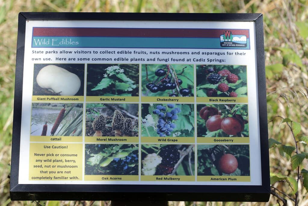 Picnic & Event Space