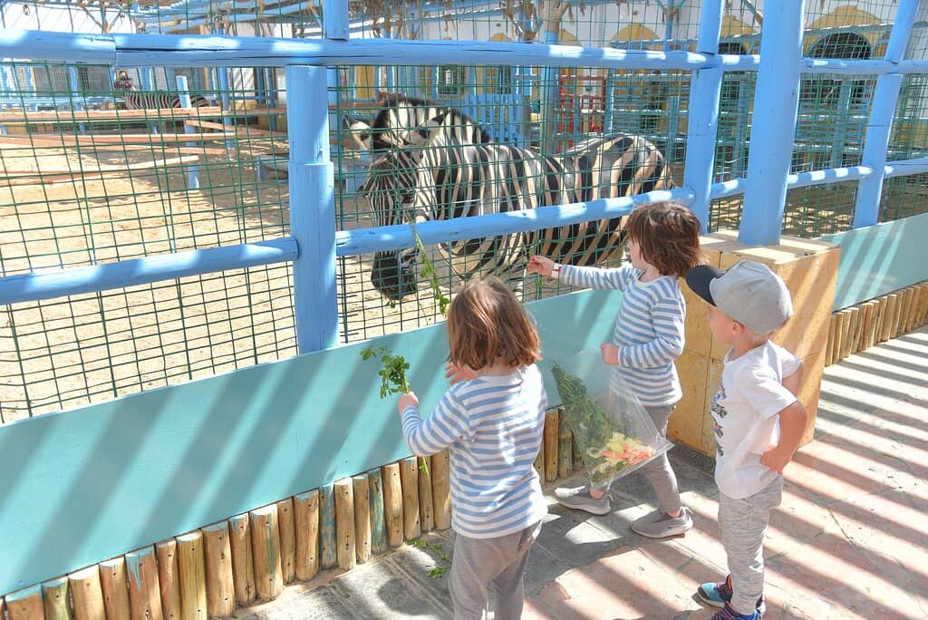 Adventure Activities