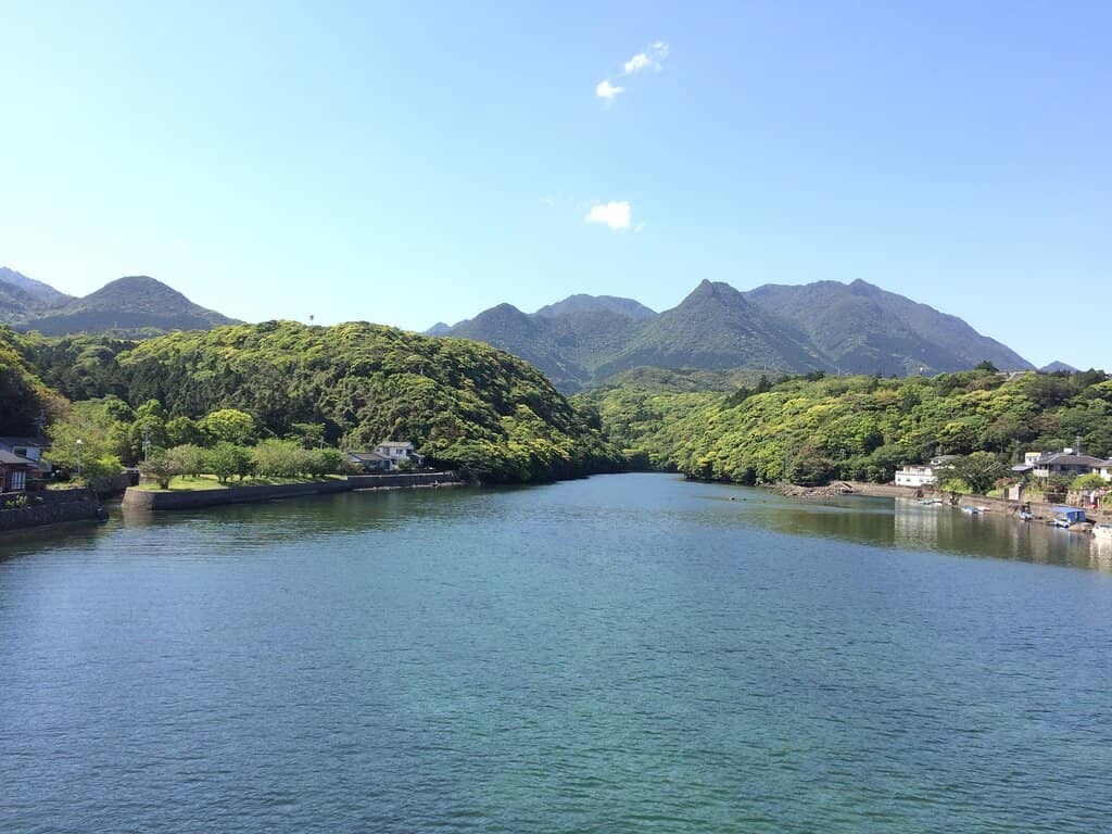 Jomon Sugi
