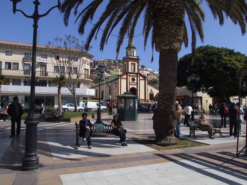 Local Markets & Events