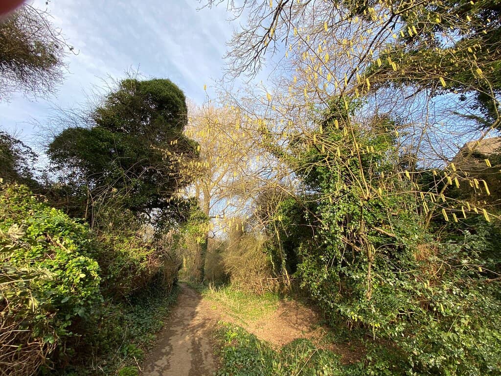 Vertical photo