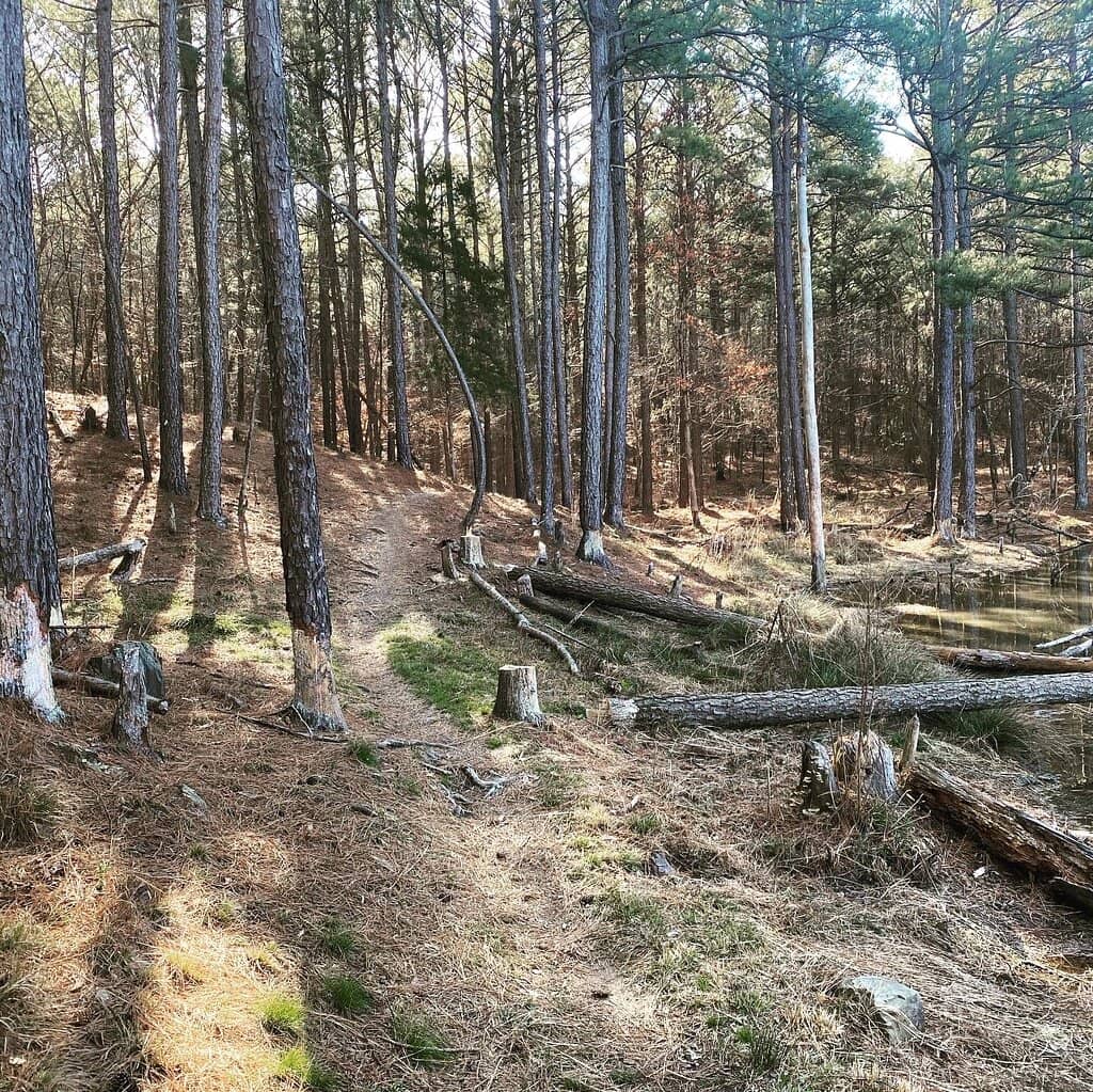 Waterworks Trails