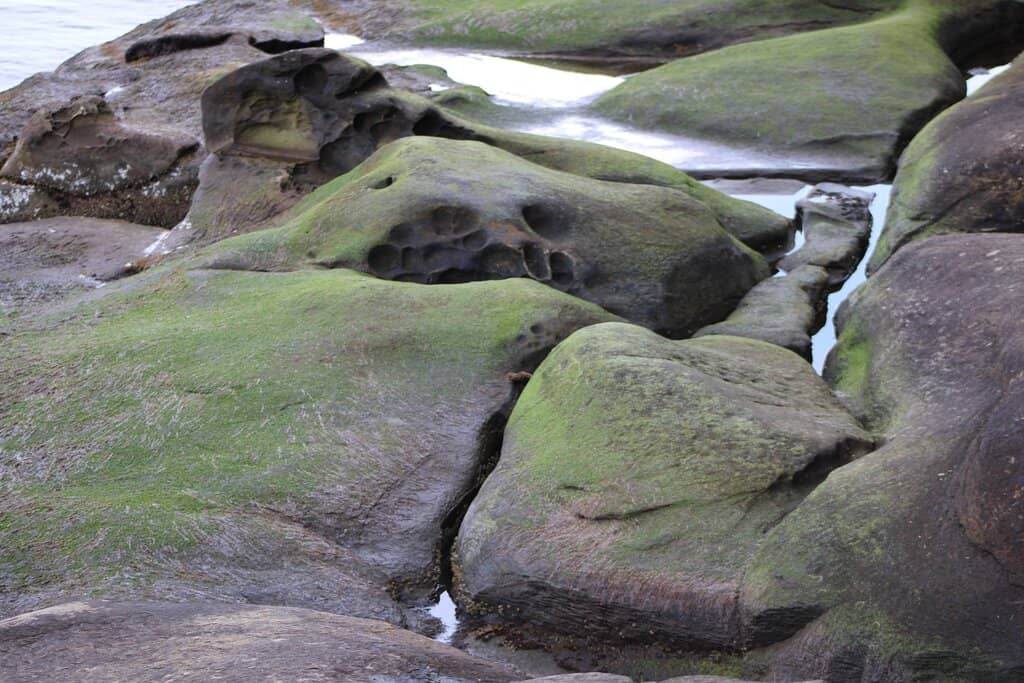 Sandstone Beach Formations