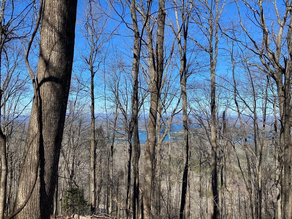 Mountain Biking Paradise