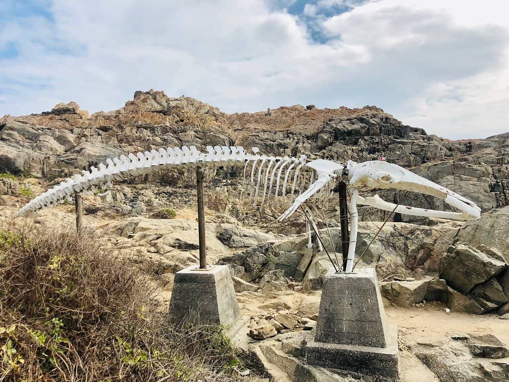 Unique Rock Formations