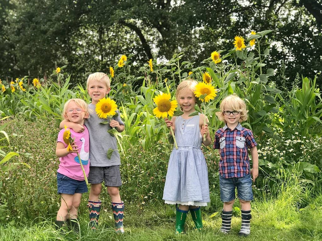 Scenic Farm Walks