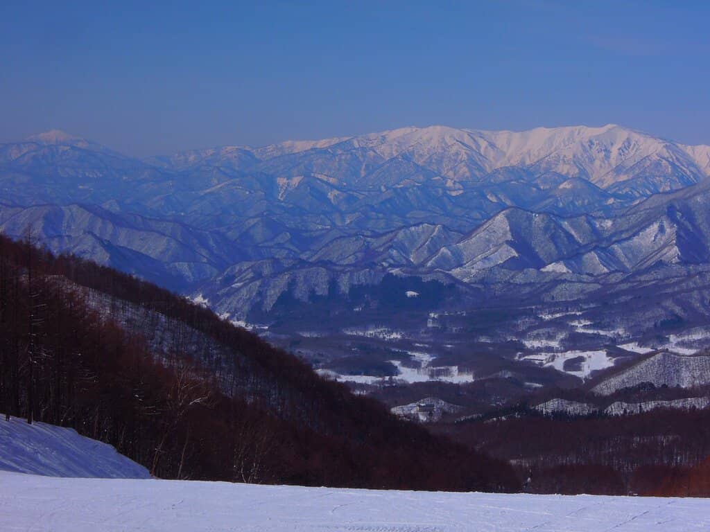 Snowboard Park Thrills