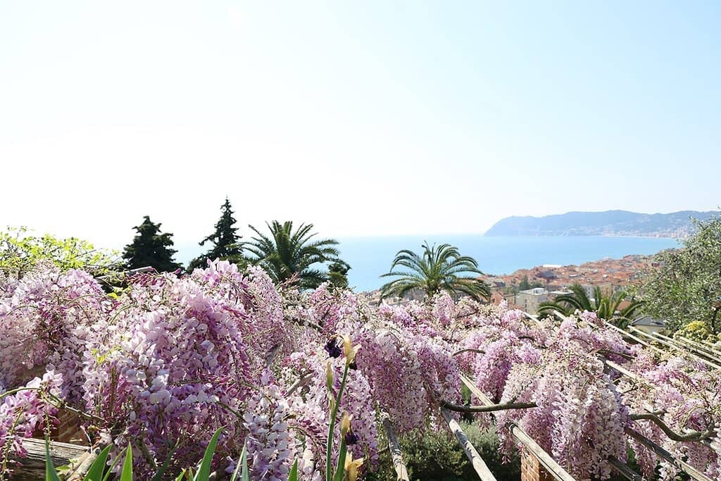 English Garden Charm