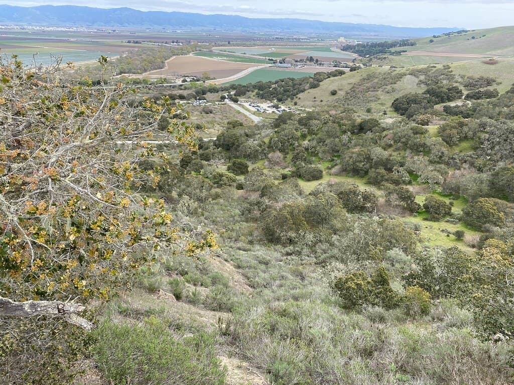 Toro Creek Trail