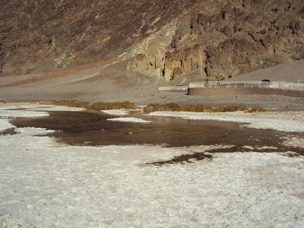 Reflective Pools (Seasonal)