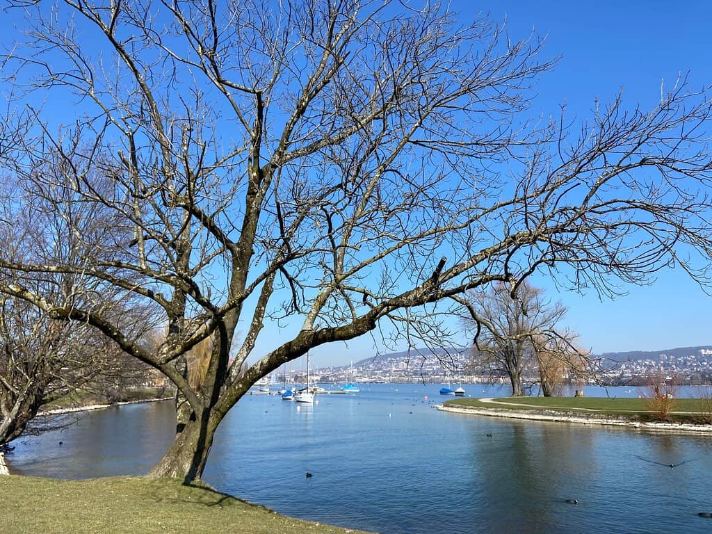Diving Platform Thrills