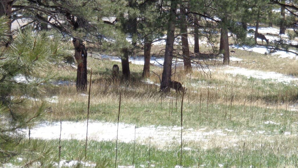 Craft Style Architecture