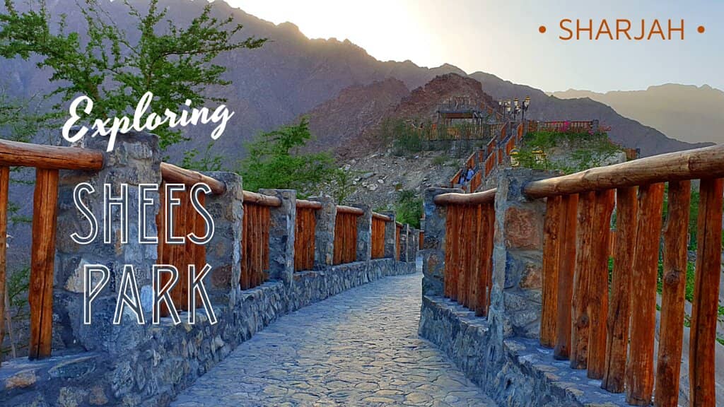 Family-Friendly Amenities