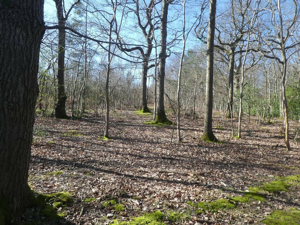 Conservation Grazers