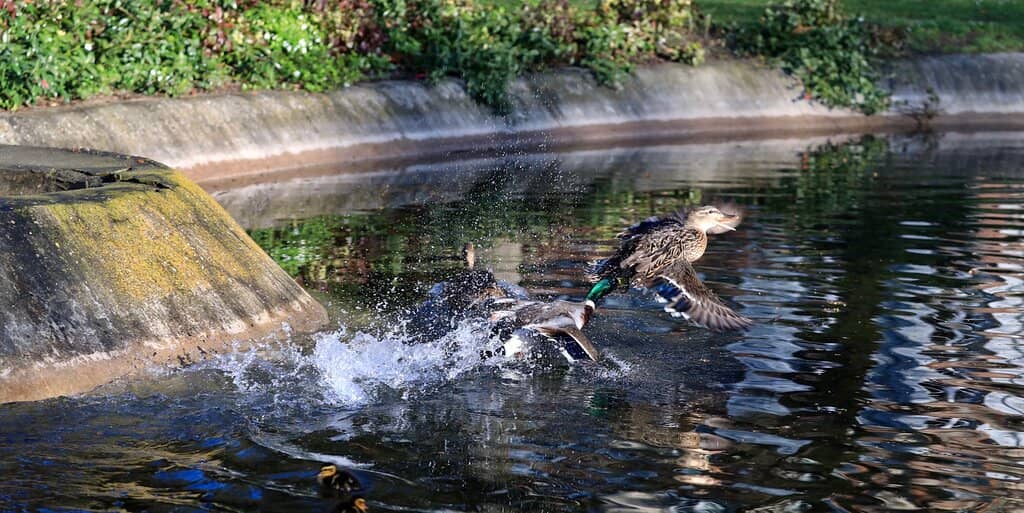 Saint-Exupéry Statue