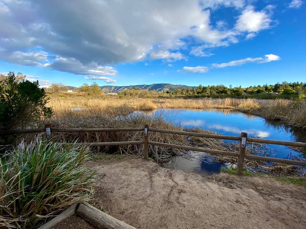 Wetlands Exploration