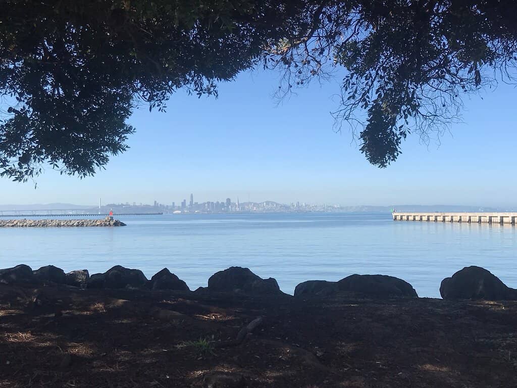 Scenic Walking Trails