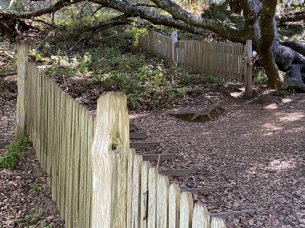 Torn Apart Fence