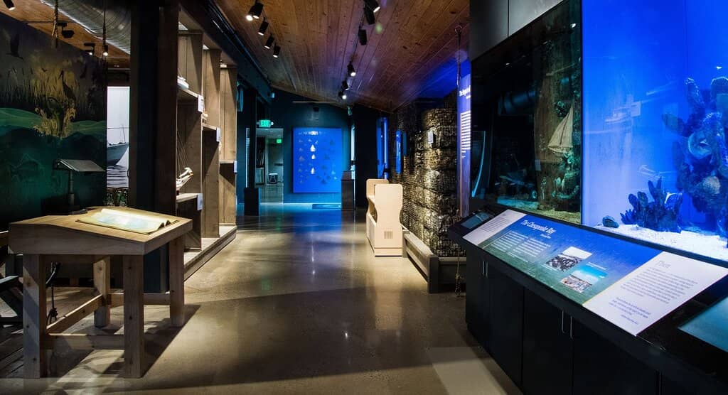 Waterfront Views & Sunset