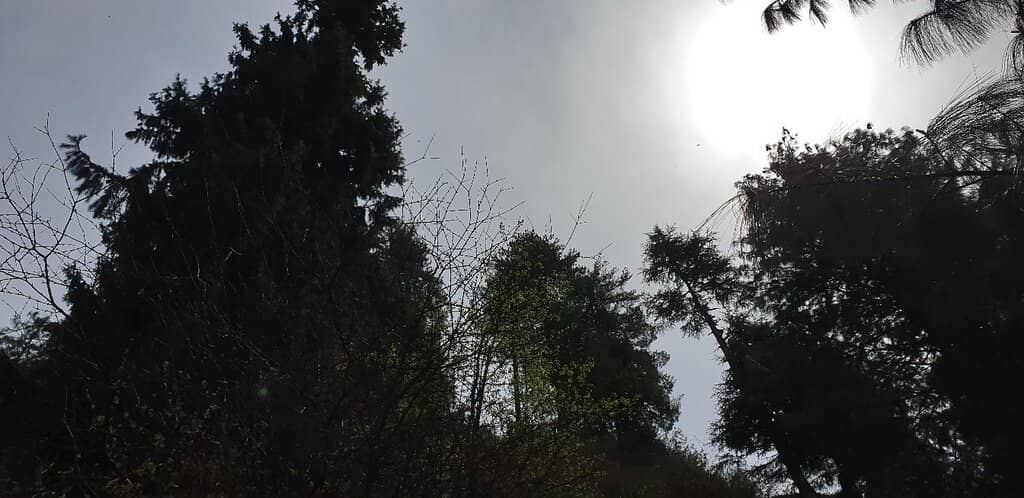 Panoramic Himalayan Views