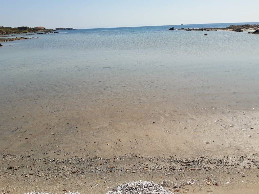 Off-Road Nature Tours