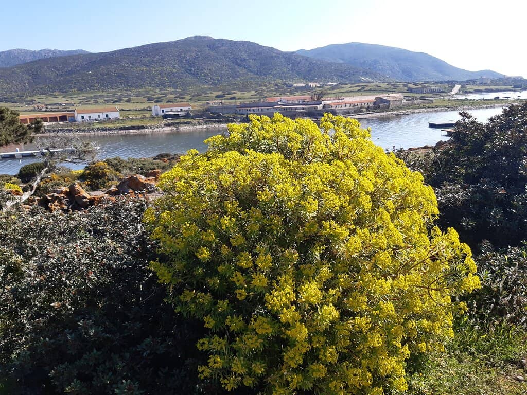 Former Penal Colony Ruins