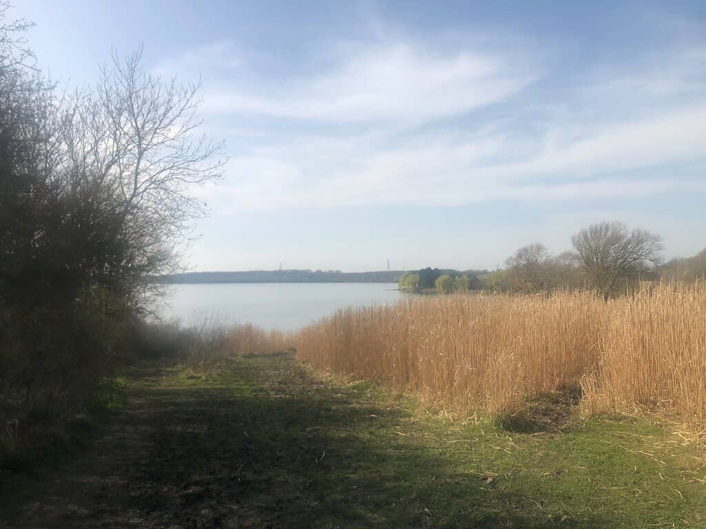 Birdwatching Haven