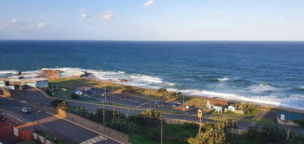 Sardine Run Spectacle