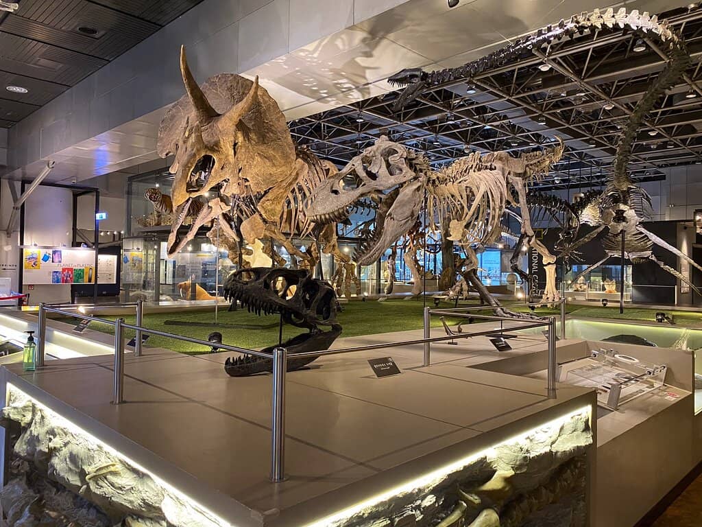 Natural Science Hall